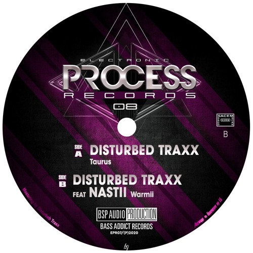 Electronic Process Records 08 - B1 Disturbed Traxx Feat Nastii - Warmii