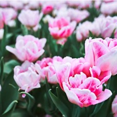 Bonne nuit jusqu’à l’éternité