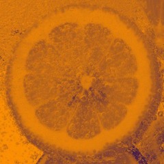 Summer cocktail   2023