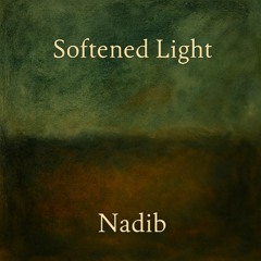 151 - Softened Light