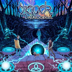 ZIGOOR - Schrödinger Loop