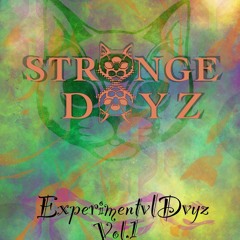 ExperimentvlDvyz Vol. 1