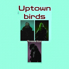 UPTOWN BIRDS (slowed)