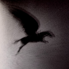 when icarus fell from the sky