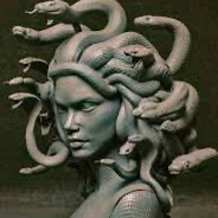 A LA RECHERCHE DE LA MEDUSE