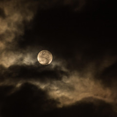 Dark Omen
