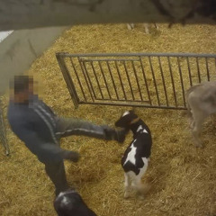 Одни и те же страдания, разные условия 🕑
