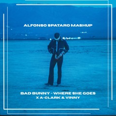 Bad Bunny X A-Clark & Vinny (Alfonso Spataro Mashup) Afro house