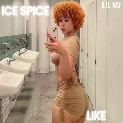 Lil Mj - Måns (disstrack)