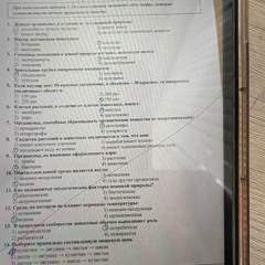 demo (может быть фулл будет)