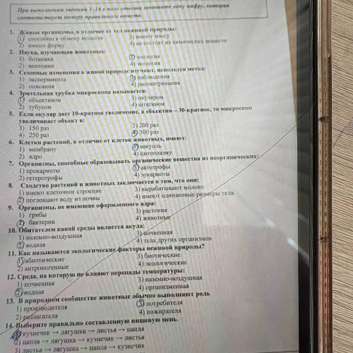 demo (может быть фулл будет)