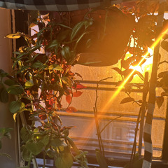 gooooo! #DSC *prod bbuggin* {MV IN DESC}