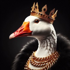 LIL PLIMPTON - GOOSE VIP (FREE DOWNLOAD)