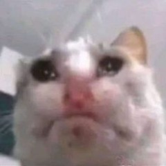 au revoir (prod. jolst)