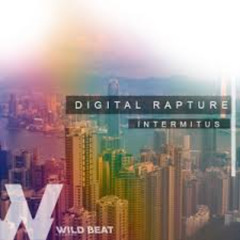 Intermitus - Digital Rapture