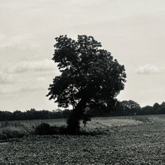 60s
