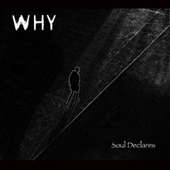 WHY - Soul Declares