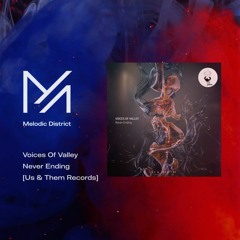 PREMIERE: Voices Of Valley - Never Ending [Us & Them Records]