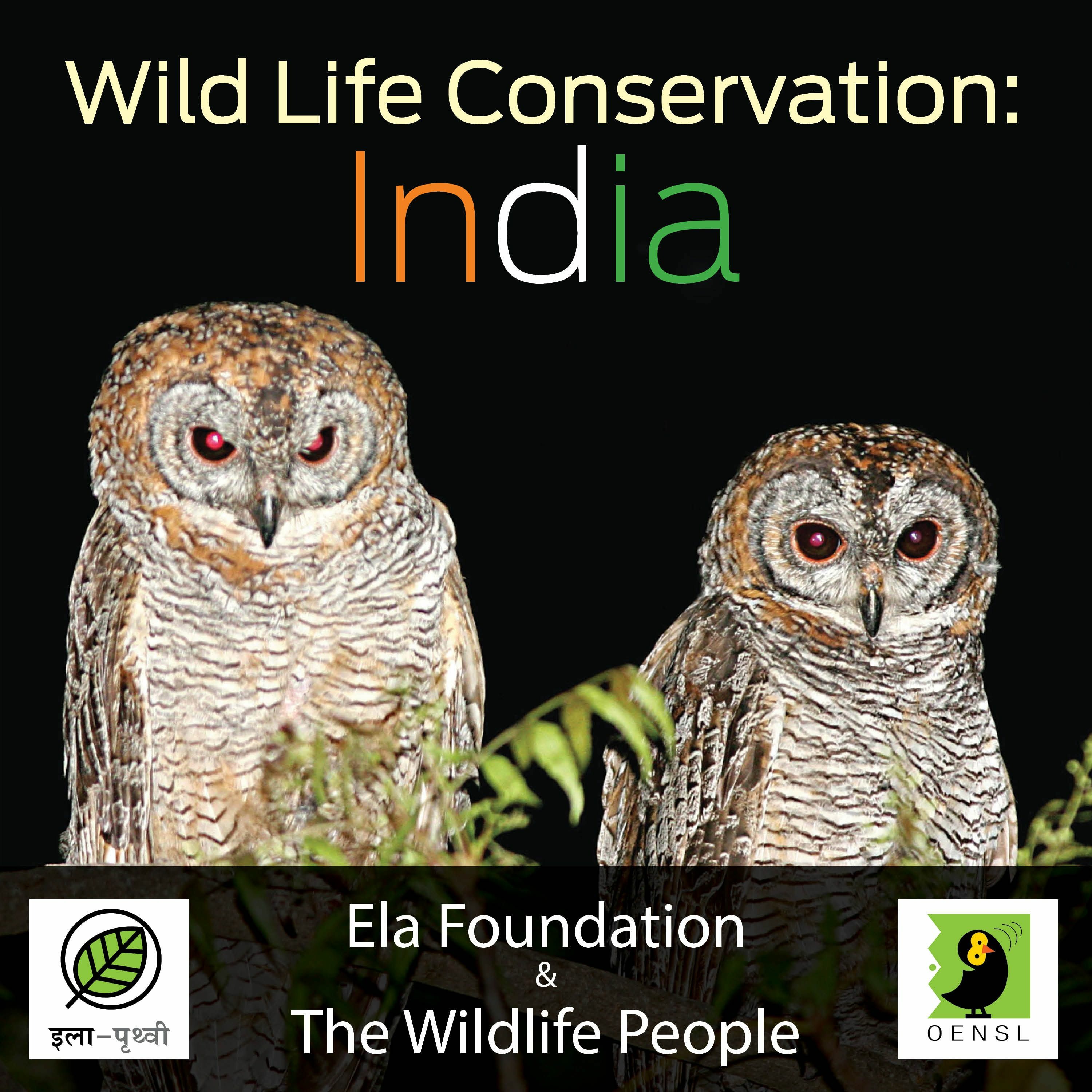 S3 - E3 - Strix Species of India by Dr. James Duncan