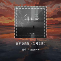 卢卢快闭嘴 - 会呼吸的痛 (DJ阿卓版)「想念是会呼吸的痛 它活在我身上所有角落」【動態歌詞/pīn yīn gē cí】#卢卢快闭嘴 #会呼吸的痛 #動態歌詞