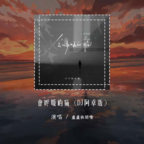 卢卢快闭嘴 - 会呼吸的痛 (DJ阿卓版)「想念是会呼吸的痛 它活在我身上所有角落」【動態歌詞/pīn yīn gē cí】#卢卢快闭嘴 #会呼吸的痛 #動態歌詞