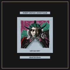 Robert Cristian X Sonny Flame - Mer Dan Idev (Demeter Remix)