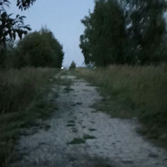 a long look at a long distance