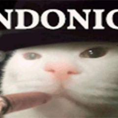 ТРАХЕР (Diss на Соню)