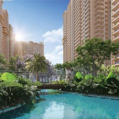 +9696968030    Ivory County Noida