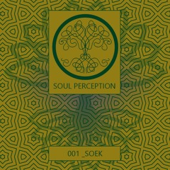 Soul Perception_001