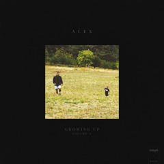 a l e x - skirt