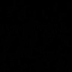 ST - De fato, o melhor do caso!