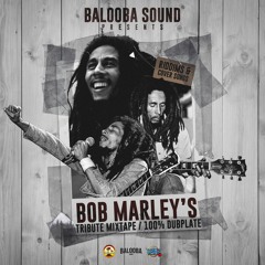 BOB MARLEY TRIBUTE MIX 100% DUBPLATES (Riddims & Cover songs)