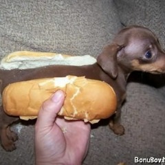 мой ебучий плейлист