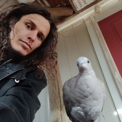 Can You Feel It ? - a frEestyLe Flow.