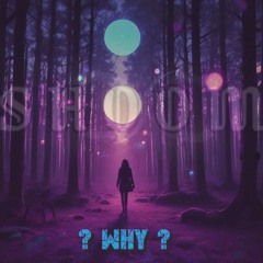 Why ? (808 exp-version) RM - shOOm [schulz-XP]