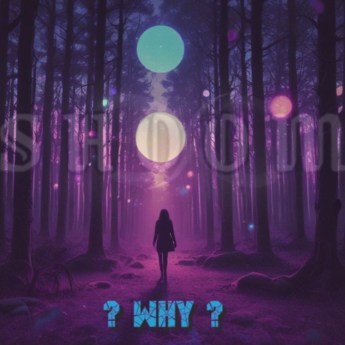 Why ? (808 exp-version) RM - shOOm [schulz-XP]