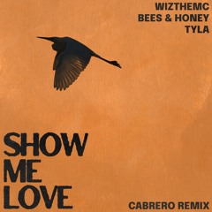 Show Me Love (Cabrero Remix)