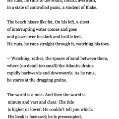 369 Sandpiper by Elizabeth Bishop