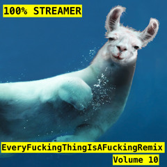 100%Streamer-everyfuckingthingisafuckingremixvol10