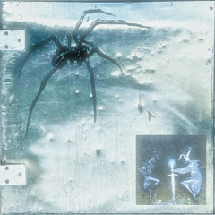 I Will Fucking Destroy you