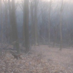 wrote this song 4 u :(