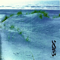 Grass Waves