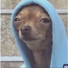 lil boosie fade ( triplemurder )