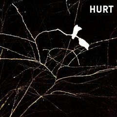 Hurt (NIN Cover)