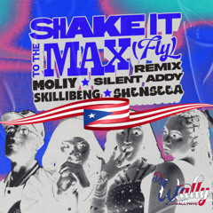 SHAKE IT TO THE MAX PR MASHUP