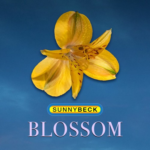 Related tracks: Blossom