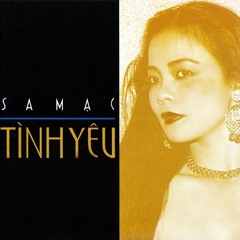 Sa Mạc Tình Yêu - Mưa Hồng ( 1992 )
