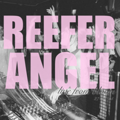 REEFER ANGEL BLOOM HEADLINE 27/9/25