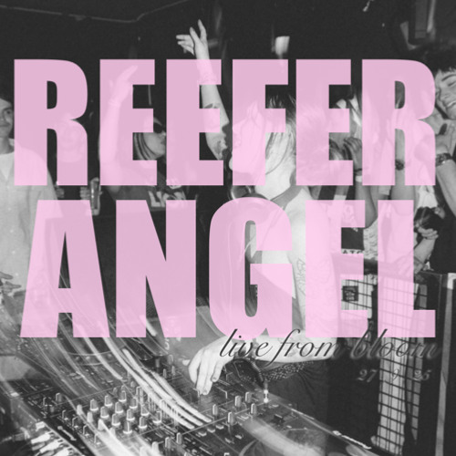 REEFER ANGEL BLOOM HEADLINE 27/9/25